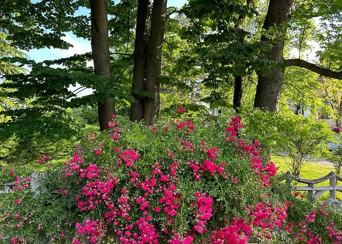 Villa Magnolia